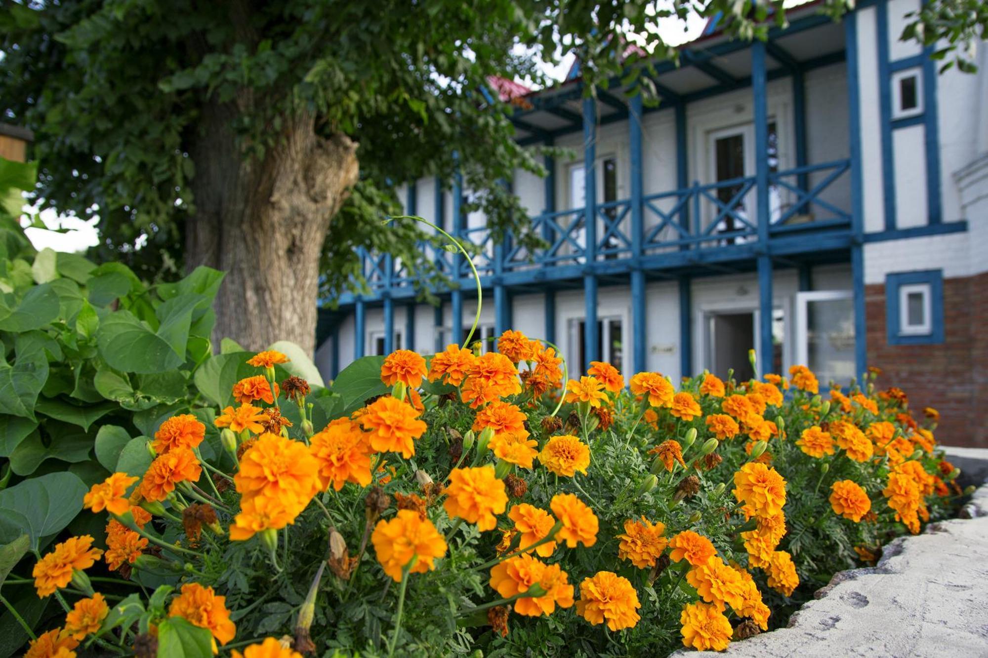 Mayak Resort Kam'yani Potoky 外观 照片